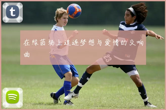 在绿茵场上追逐梦想与爱情的交响曲